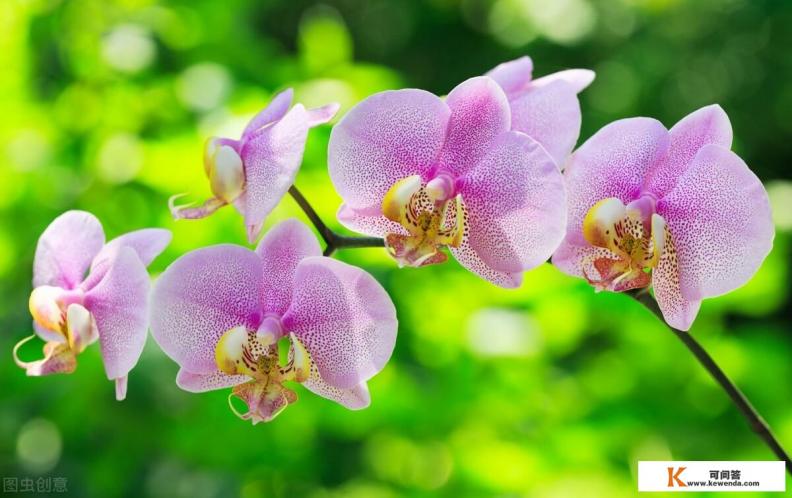 人应该如何坦然面对终将到来的死亡