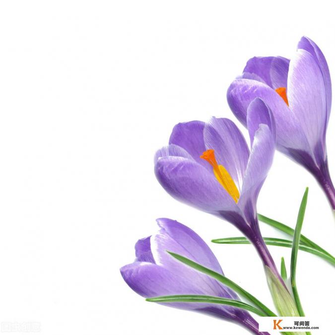 人应该如何坦然面对终将到来的死亡