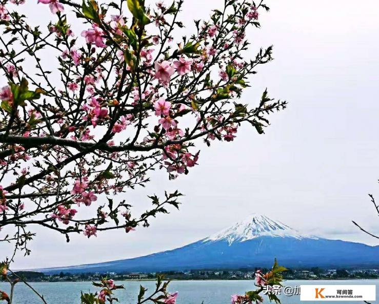 深圳可以直飞东京吗,要飞多久 深圳可以直飞东京吗,要飞多久