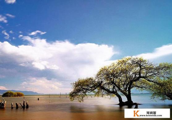 从四川省泸州市出发床车自驾环游云南一个月左右，怎么规划线路