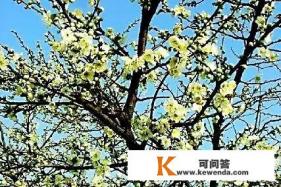 五一小长假,你会去钓鱼还是去旅游 五一小长假,你会去钓鱼还是去旅游