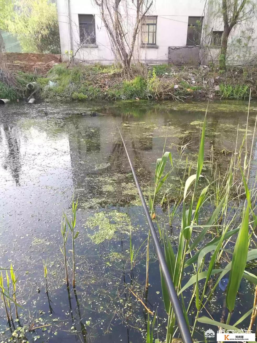 五一小长假,你会去钓鱼还是去旅游 五一小长假,你会去钓鱼还是去旅游