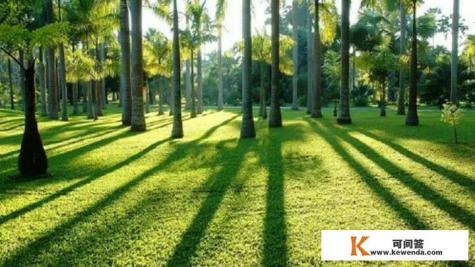 云南旅游怎么找旅游团