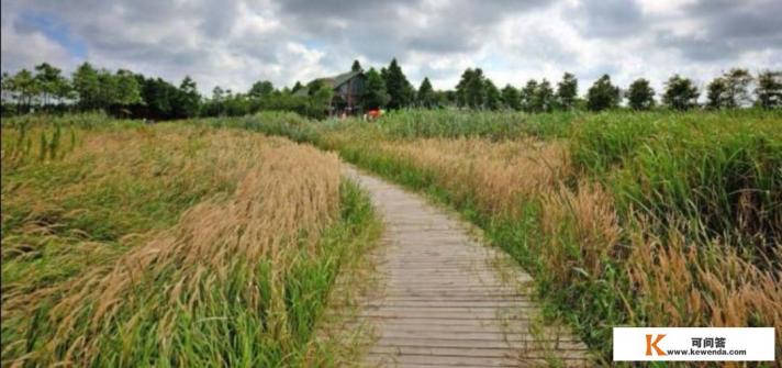 上海周边都有什么可以游玩的地方