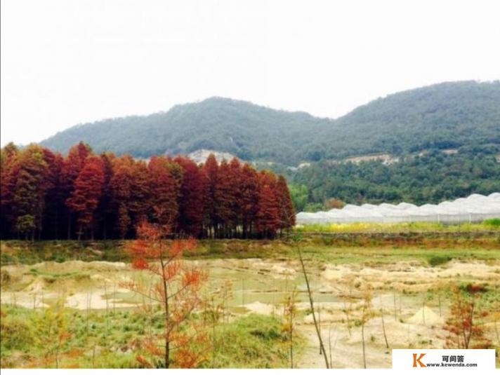 上海周边都有什么可以游玩的地方