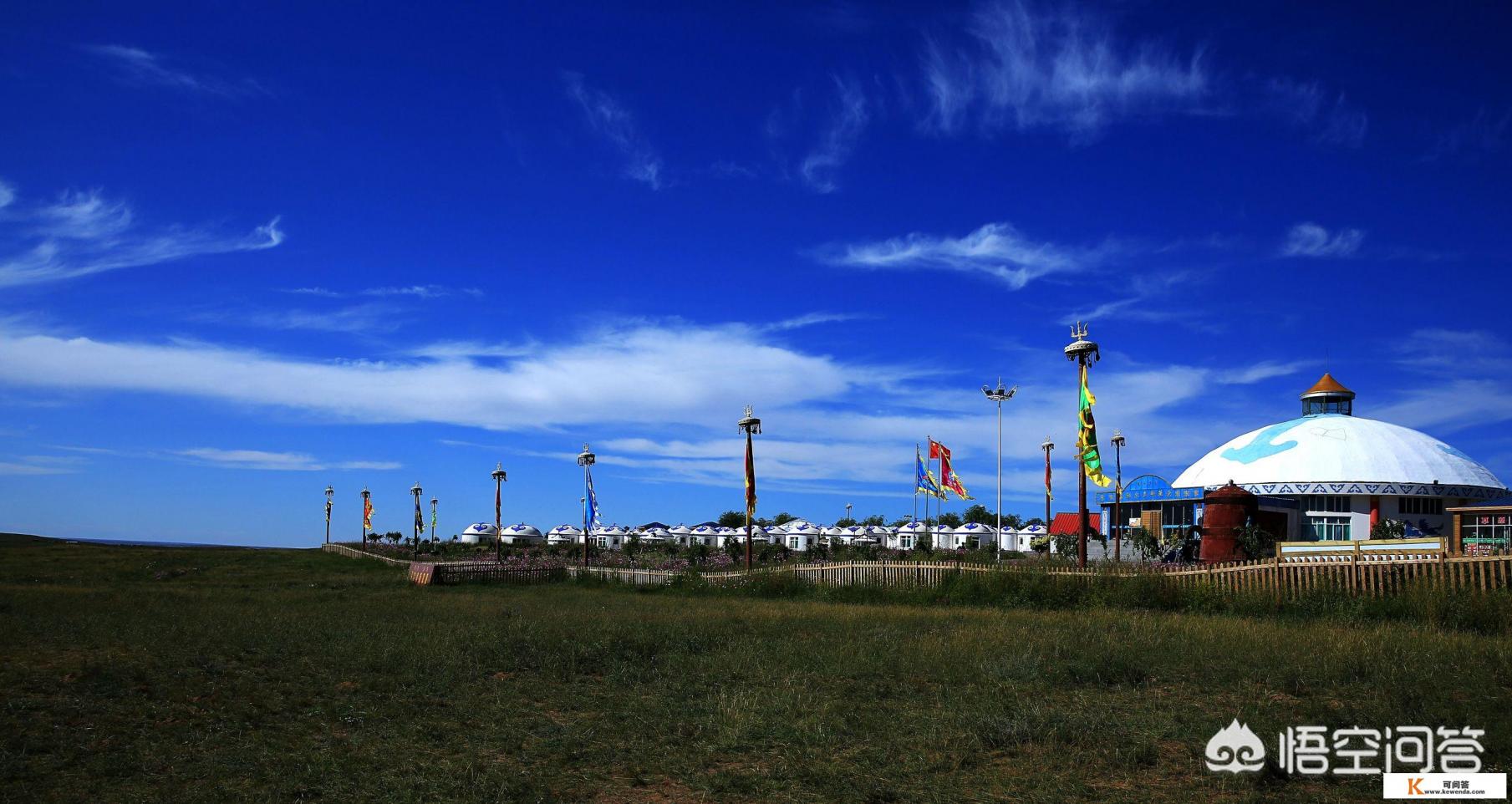 内蒙古鄂尔多斯草原有什么动物 内蒙古鄂尔多斯草原有什么动物