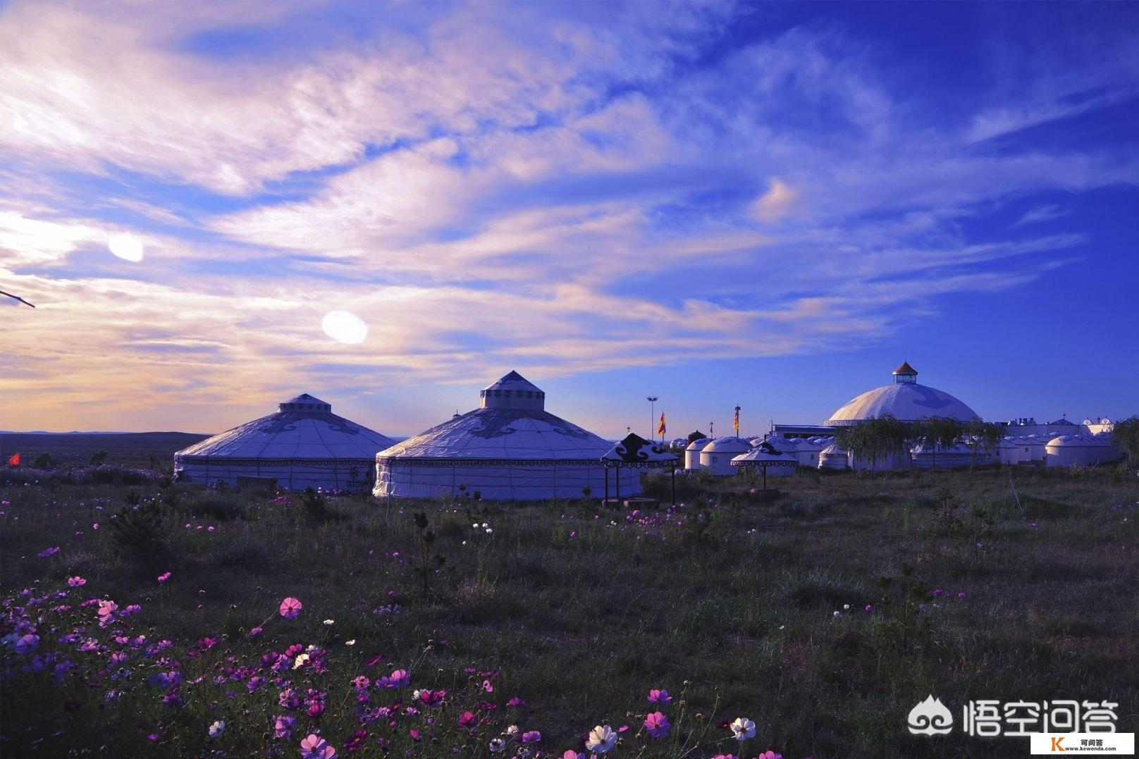 内蒙古鄂尔多斯草原有什么动物 内蒙古鄂尔多斯草原有什么动物