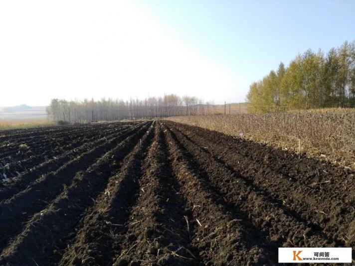 书荒了,有什么好看的小说推荐吗?种田文之类温馨的小说 书荒了,有什么好看的小说推荐吗?种田文之类温馨的小说