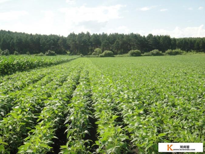 书荒了,有什么好看的小说推荐吗?种田文之类温馨的小说 书荒了,有什么好看的小说推荐吗?种田文之类温馨的小说