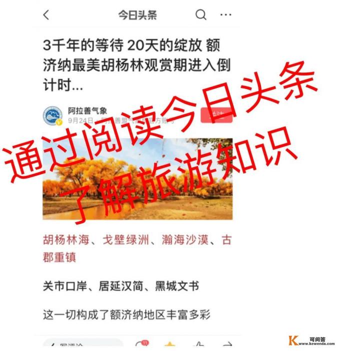 上海叮咚买菜攻略 上海叮咚买菜攻略