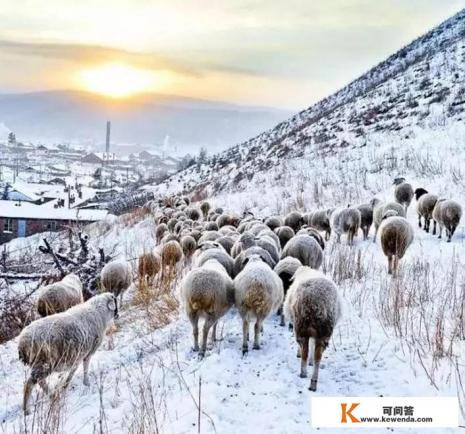 冬天去呼伦贝尔大草原旅游合适吗?好玩吗 冬天去呼伦贝尔大草原旅游合适吗?好玩吗