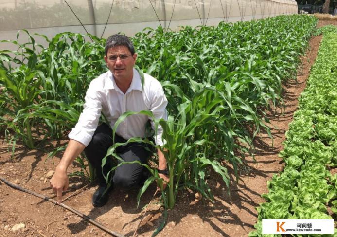 以色列是不是一个沙漠国家