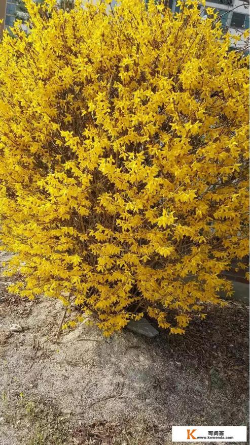 这个月要去韩国旅行,给家人带点什么纪念品好呢 这个月要去韩国旅行,给家人带点什么纪念品好呢