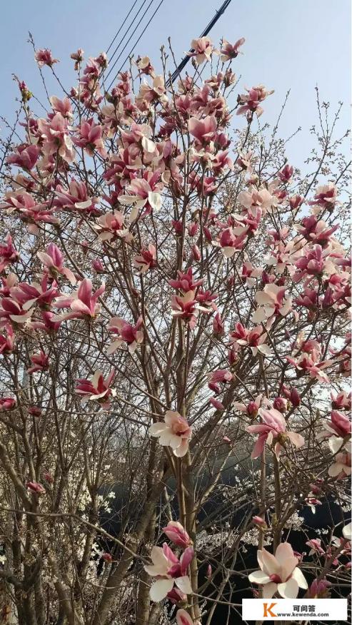这个月要去韩国旅行,给家人带点什么纪念品好呢 这个月要去韩国旅行,给家人带点什么纪念品好呢