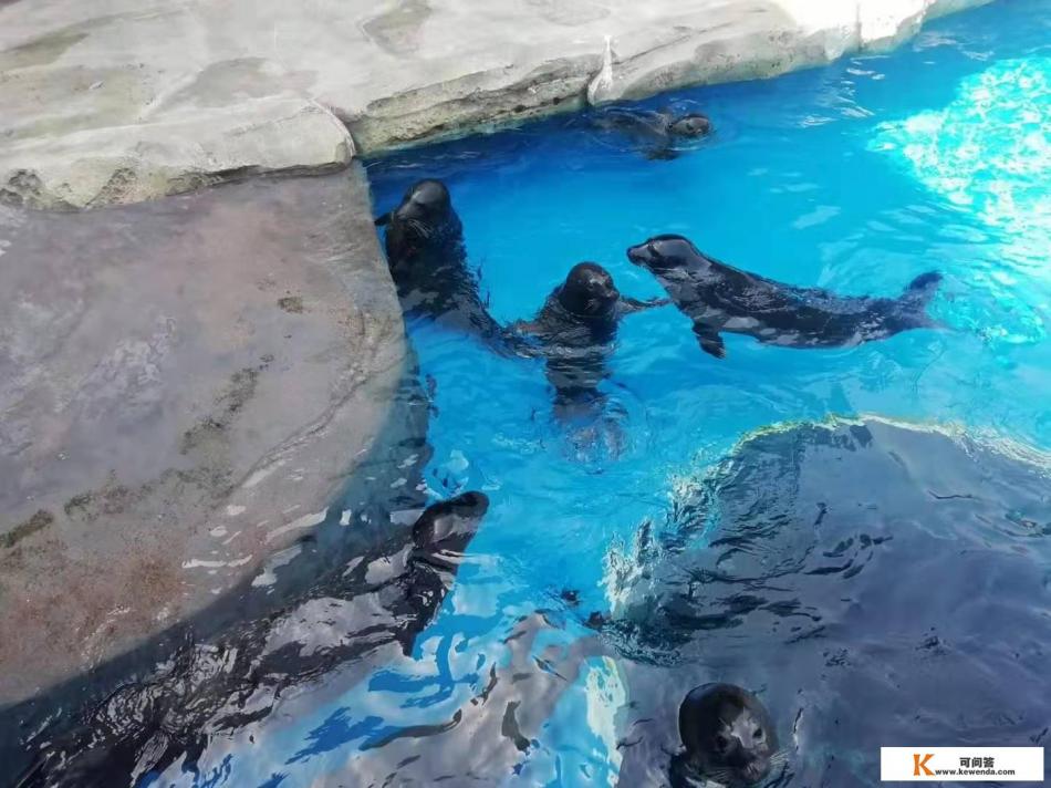 去日照青岛自驾游有好的建议吗?比如哪里的就餐、住宿性价比高 去日照青岛自驾游有好的建议吗?比如哪里的就餐、住宿性价比高