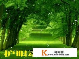 动态壁纸哪个软件好用 动态壁纸哪个软件好用