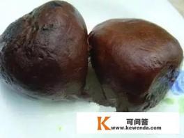 出去旅游两天,应该带点什么必需品 出去旅游两天,应该带点什么必需品