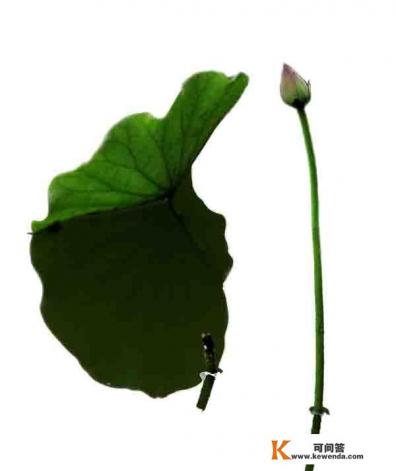 使用宾得k5相机有几年了，现在想提高一下，该入什么机型和镜头配套