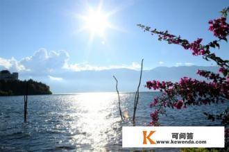 冬季适合去哪里旅游