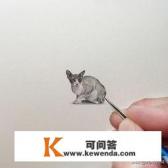 手机上有什么可以绘画的软件