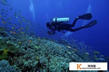 马尔代夫最受游客喜爱旅游娱乐项目有哪些