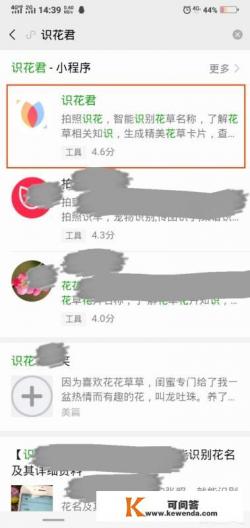 如何用微信识别花朵 如何用微信识别花朵