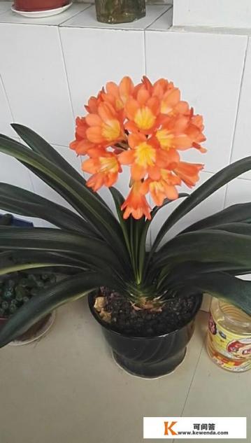 秦皇岛冬天适合居住吗