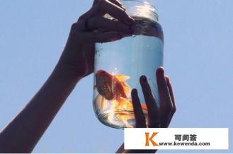 为什么我爱了一个人十年还是忘不掉