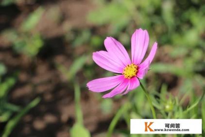 去北京旅游需要注意什么，去北京旅游要注意事项攻略