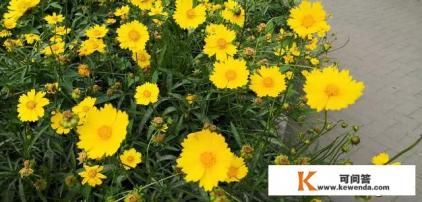 出去旅游带什么相机好