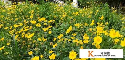 出去旅游带什么相机好