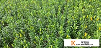 出去旅游带什么相机好