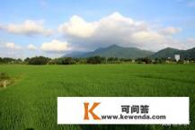 想去草原旅游，请问去哪个草原好