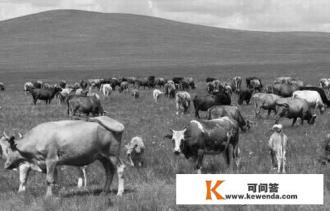 阿根延是哪个大洲的国家？畜牧业生产为什么世界著名