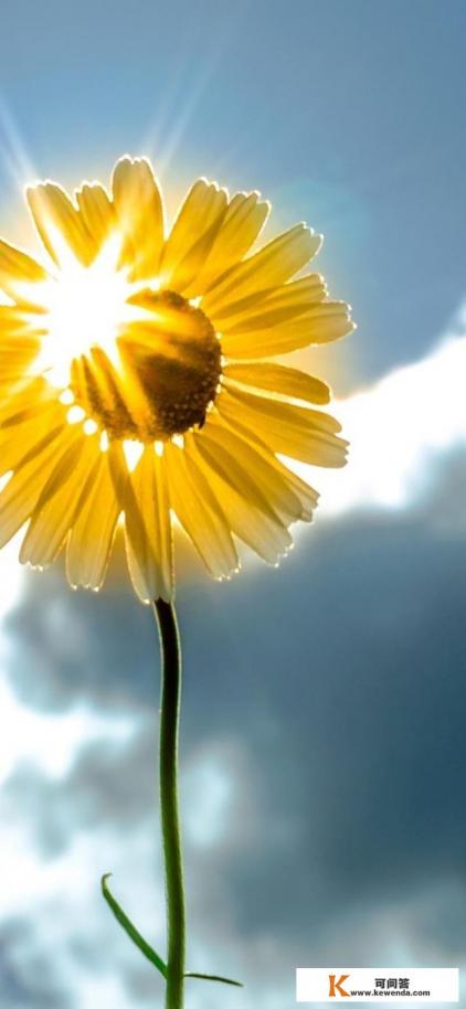 游戏试玩赚钱平台手机不放sim卡能做任务吗